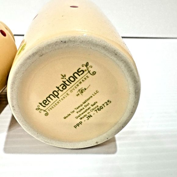 Temp-tations Temptations By Tara Polka Dot 5 pc Condiment Set Oil Vinegar Salt - Picture 15 of 15